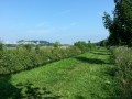2013-07-18 10_44 031